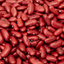 Bean Server - discord server icon