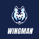 WingMan's Main World - discord server icon