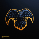The Crow - discord server icon