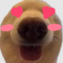 meet new gamers! - discord server icon