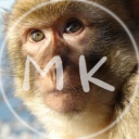 Monkee Kingdom 🐒 - discord server icon