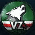 VayZone - discord server icon