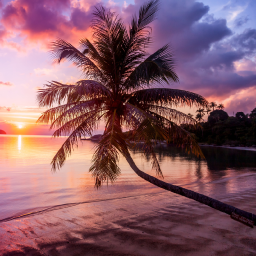 ㄴ🌴ㄱ・Chillerka・ - discord server icon