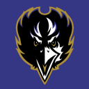 The Baltimore Raven's Community Server - discord server icon