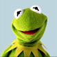 Kermit's Kingdom - discord server icon