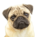 Don't Act Stupid I'm Recording - discord server icon