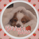 berry's bang🍓 - discord server icon