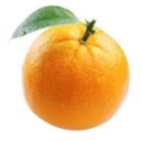 Orange Bot Community - discord server icon