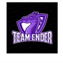 Team Ender Esports - discord server icon