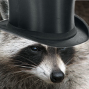 Raccoon Burrow - discord server icon