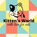 Kitten's World - discord server icon