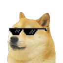 Doge Server - discord server icon