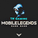 ◂ ᴛɴ ᴍʟʙʙ ᴄᴏᴍᴍᴜɴɪᴛʏ ▸ - discord server icon