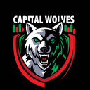 Capital Wolves - discord server icon