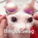 swag !! - discord server icon