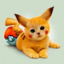 Pokekitti - discord server icon