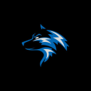 BLUE FOX ESPORTS - discord server icon