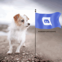 Puppy76452's Community OLD - discord server icon