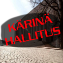 Kärinä Hallitus - discord server icon