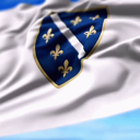 Republika Bosna i Hercegovina - discord server icon