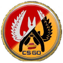 【ＣＳＧＯ_ｅｓ】 - discord server icon