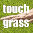 touch grass - discord server icon