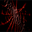 Arachnid - discord server icon