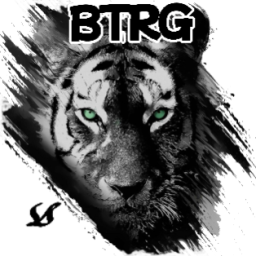 [BTR] Beast Tiger Raiders - discord server icon