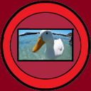 Birdmaster11 fan server - discord server icon