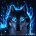 wolf community - discord server icon