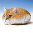 Poğaça Kedi Resmi Sunucu - discord server icon