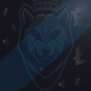 Binance Wolves - discord server icon