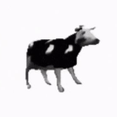 lmao funny gifs - discord server icon