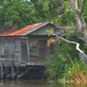 The Tarkov Shack out in the swamp - discord server icon