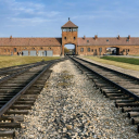 AUSCHWITZ - discord server icon