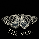 The Veil - discord server icon