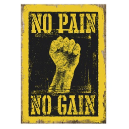 No pain no gain (TR) - discord server icon