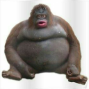 Monke City - discord server icon