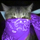 tttt - discord server icon
