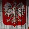 Terrarianie Polska - discord server icon