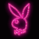 Bunny nightclub - discord server icon
