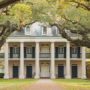 Freck's Mansion - discord server icon