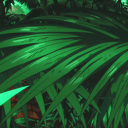 🌴 Smooth's Jungle🌴| Entertaining & Stupidly Fun discord server. - discord server icon