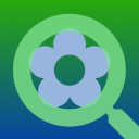 Pikmin : Research Expedition - discord server icon