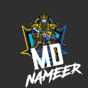 Md Nameer - discord server icon