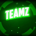 TEAMZ ORG - discord server icon