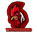 ThunderBirds Ultegra - discord server icon