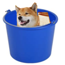 BUCKET V1.0 (Discontinued) - discord server icon