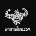 THEWRESTLENERD.COM - discord server icon