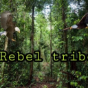 Rebel army tribe - discord server icon